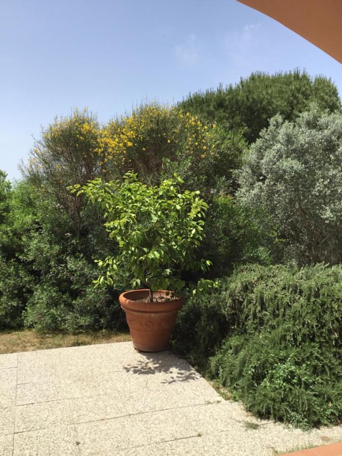 Il Melograno 3* Saturnia