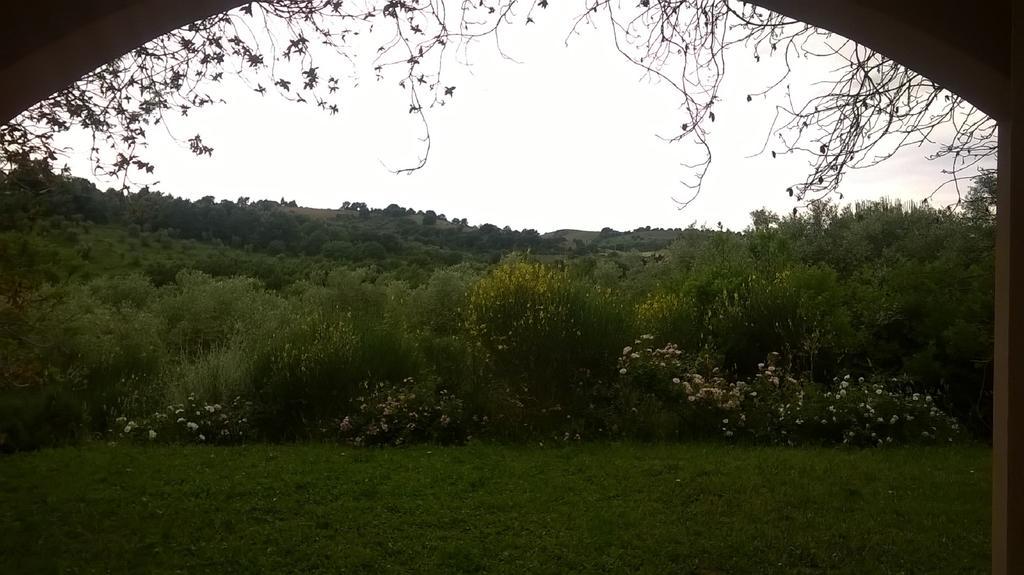 Il Melograno