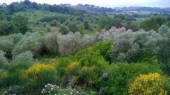 Hotel Il Melograno 3*