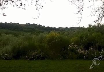 Il Melograno Hotel Saturnia